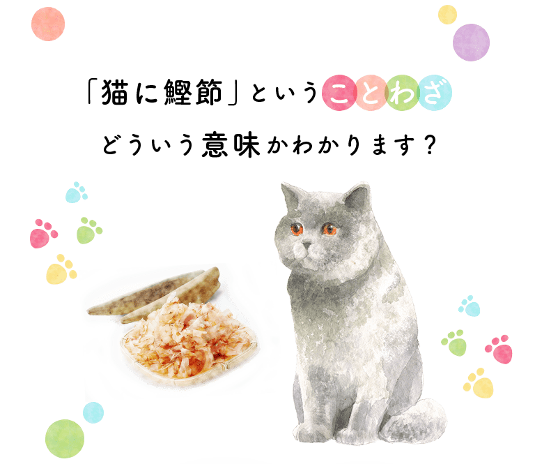 「猫に鰹節」ということわざどういう意味かわかります？